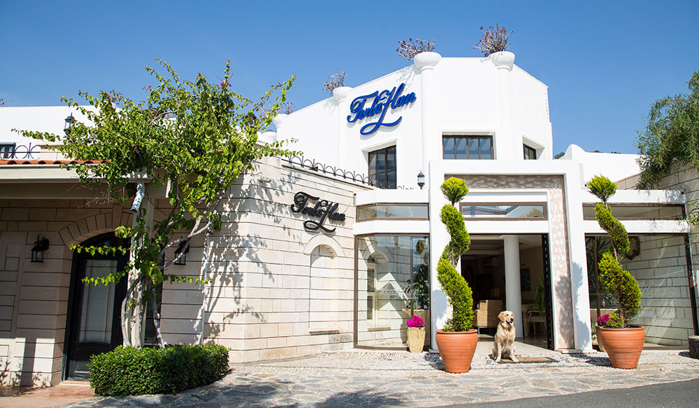 Which are the best hotels in Bodrum Torba